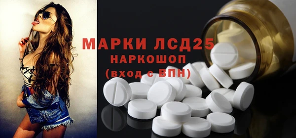 стаф Баксан