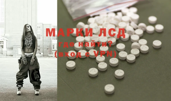 стаф Баксан
