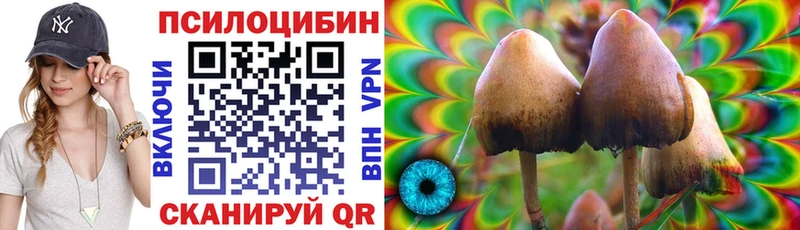 дарнет шоп  Новосиль  blacksprut рабочий сайт  Галлюциногенные грибы ЛСД 