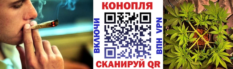 Бошки марихуана ГИДРОПОН  Новосиль 